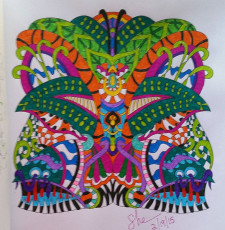 Colored by Shari Erickson - from Wow (Angie's Extreme Coloring Books Volume 1)