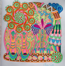 Colored by Shari Erickson - from Wow (Angie's Extreme Coloring Books Volume 1)