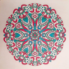 Colored by Carol Reid - from Cool (Angie's Extreme Coloring Books Volume 2)