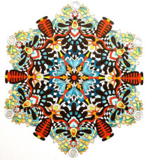 Colored by Anja Meuer - from Wow (Angie's Extreme Coloring Books Volume 1)
