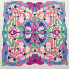 Colored by Danielle Lemos - from Cool (Angie's Extreme Coloring Books Volume 2)