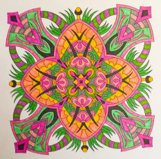 Colored by Felicia Brandon - from Cool (Angie's Extreme Coloring Books Volume 2)
