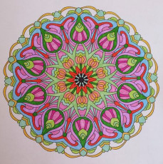 Colored by Felicia Brandon - from Cool (Angie's Extreme Coloring Books Volume 2)