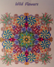 Colored by Deborah Powell - from Web Exclusives