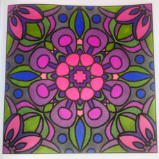 Colored by Amanda Haws - from Flowers (For Crayons And Wide Tipped Markers)