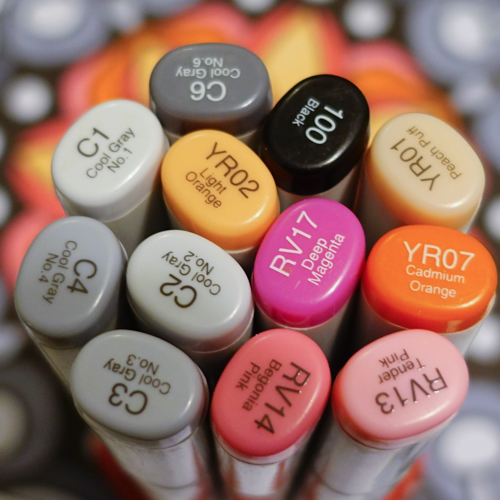 Copic Sketch marker shade set.